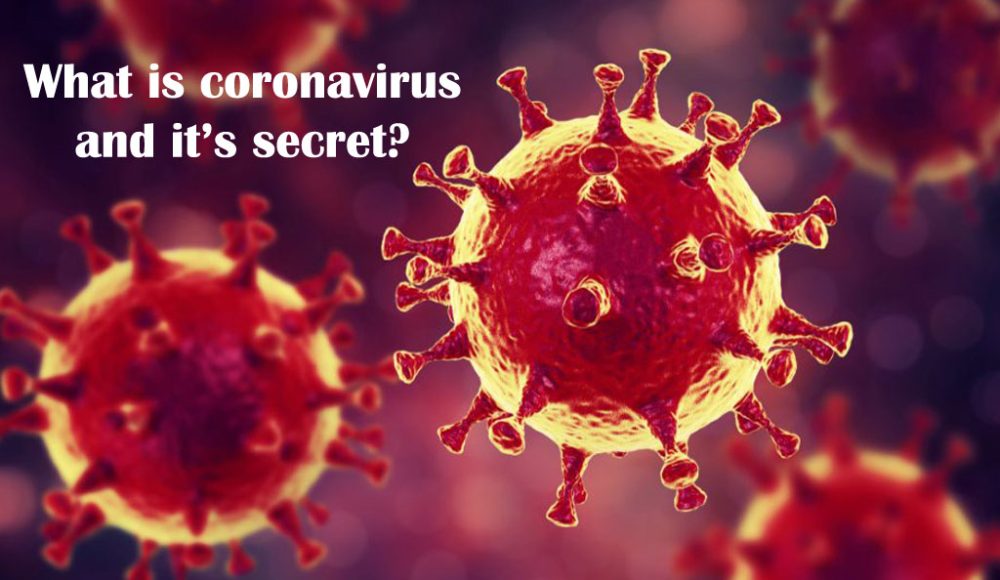 corona virus