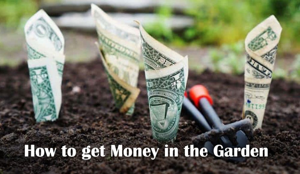 How to get Money
