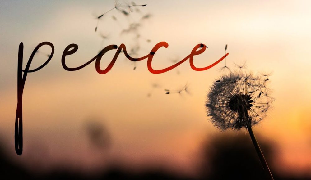 Looking for Peace